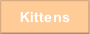 Kittens.